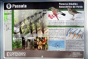 45 La Passata...
